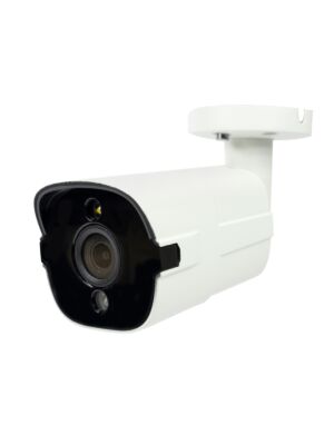 Câmera de videovigilância PNI IP818JS, POE