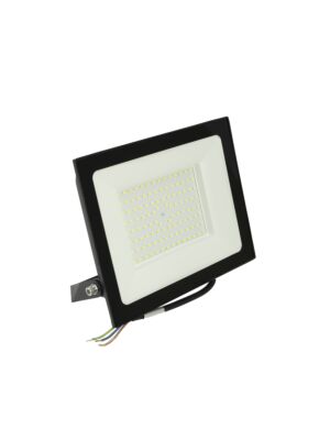 Refletor LED 100W PNI