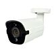 Câmera de videovigilância PNI IP818JS, POE